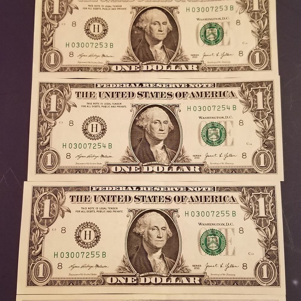 Dollar Bill